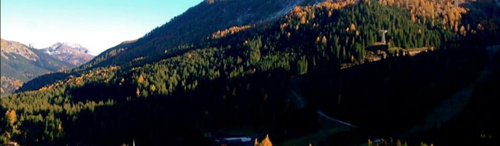 Cuddles & Foliage in the Dolomites