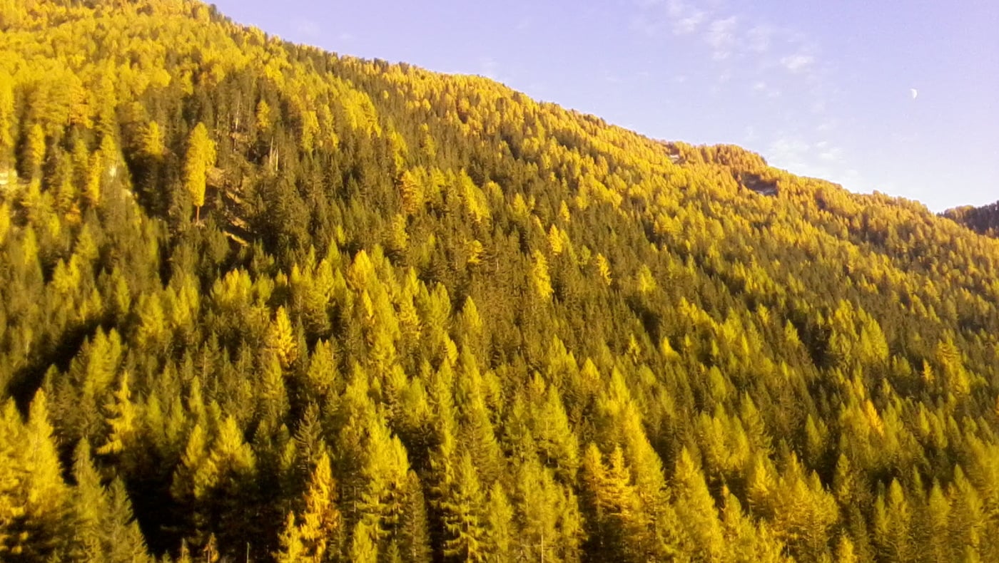 Coccole, Relax e Foliage sulle Dolomiti di Arabba