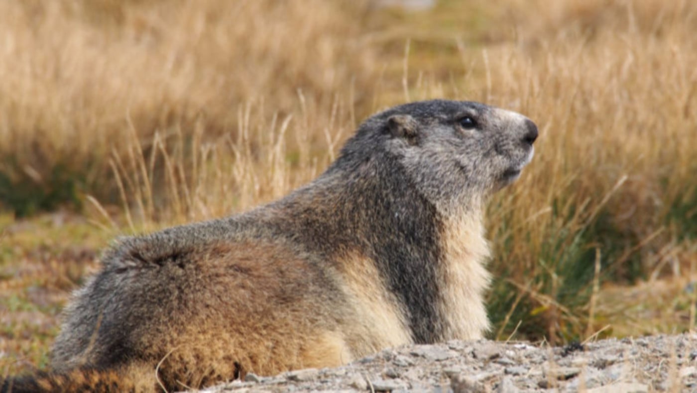 Settembre il mese dei colori che cambiano sulle Dolomiti
