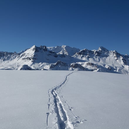 Andere Winteraktivitäten
