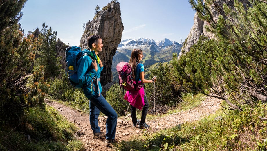 The magic of the mountains in summer