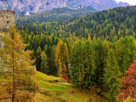 FOLIAGE SULLE DOLOMITI DI ARABBA