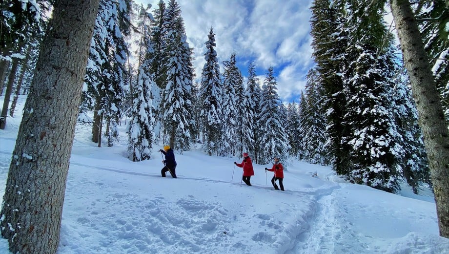Snowshoeing in the Dolomites