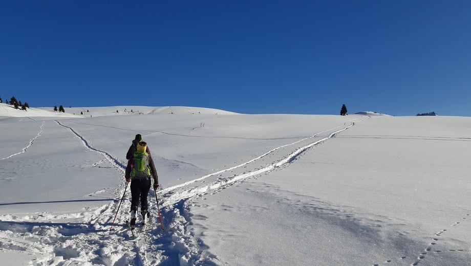 Ski mountaineering and freeriding