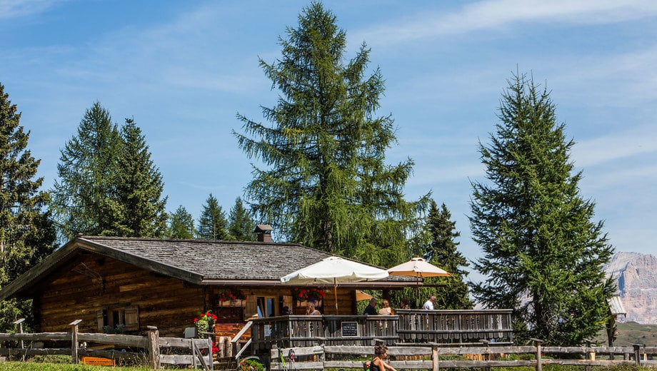 Dairy Munt Planfistì