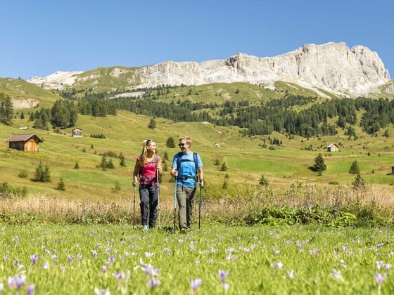 Arabba ai blocchi di partenza l'estate 2020
