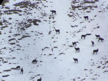 Sulle Orme di una Natura nascosta