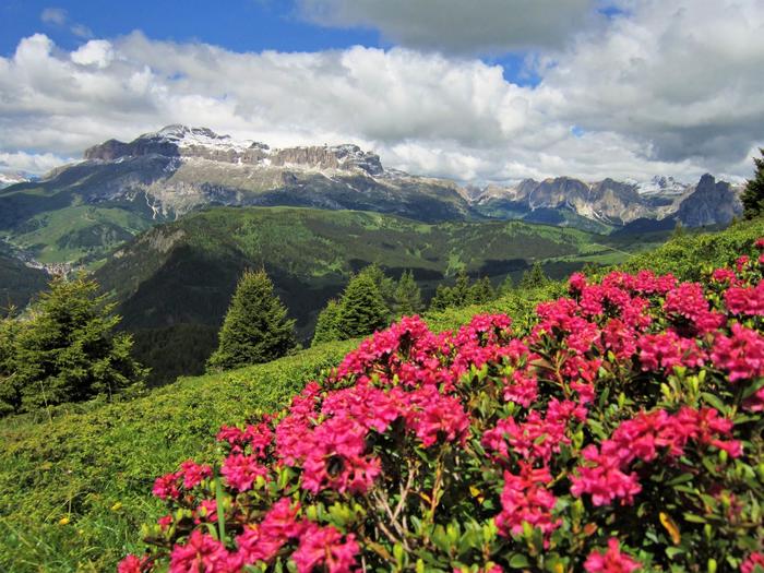 Col di Lana Trekking