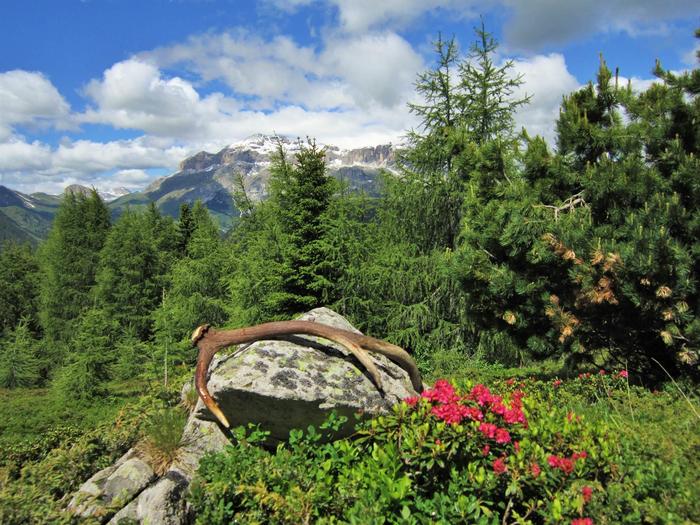 Col di Lana Trekking