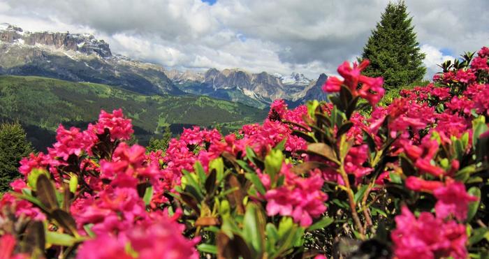 Col di Lana Trekking