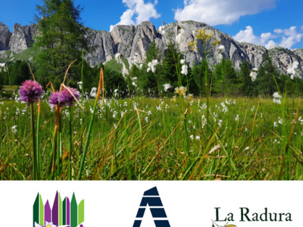 Activities for families: the animals of the Dolomites: eagles and marmots