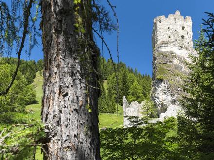 Aktivitäten für Familien: die Tiere der Dolomiten: Wölfe und Schafe