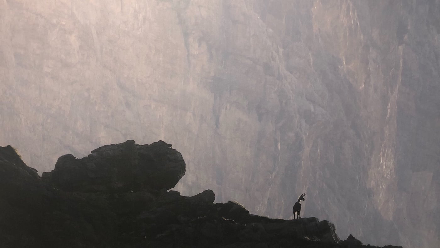 Bis zum 4. September findet in Arabba die FOTOAUSSTELLUNG "FUGACI - PRÄSENZ IN DEN DOLOMITEN" von Giacomo De Donà statt.