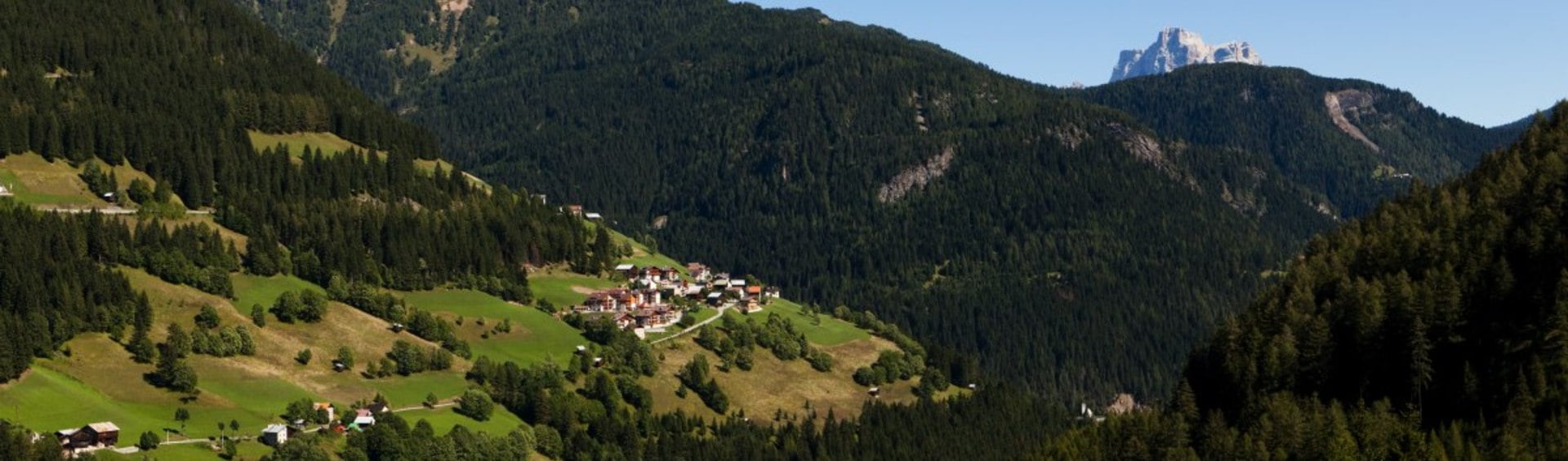 Salesei