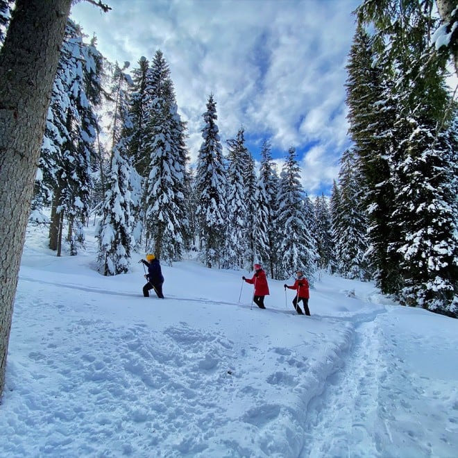 Snowshoeing in the Dolomites