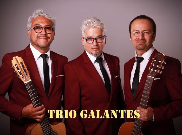 Concert "Trio Galantes"