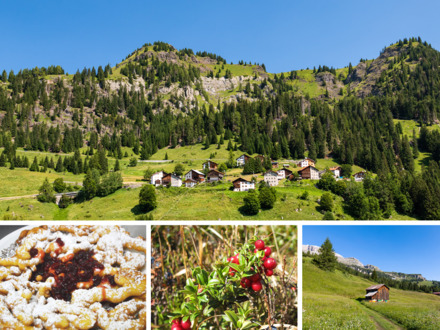 MUSEO DIFFUSO: (9) alla scoperta della Vicinia di Varda