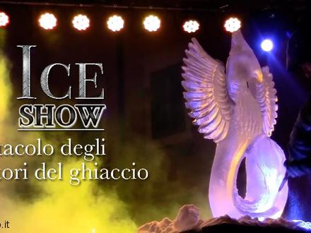 Ice Sculpture Show