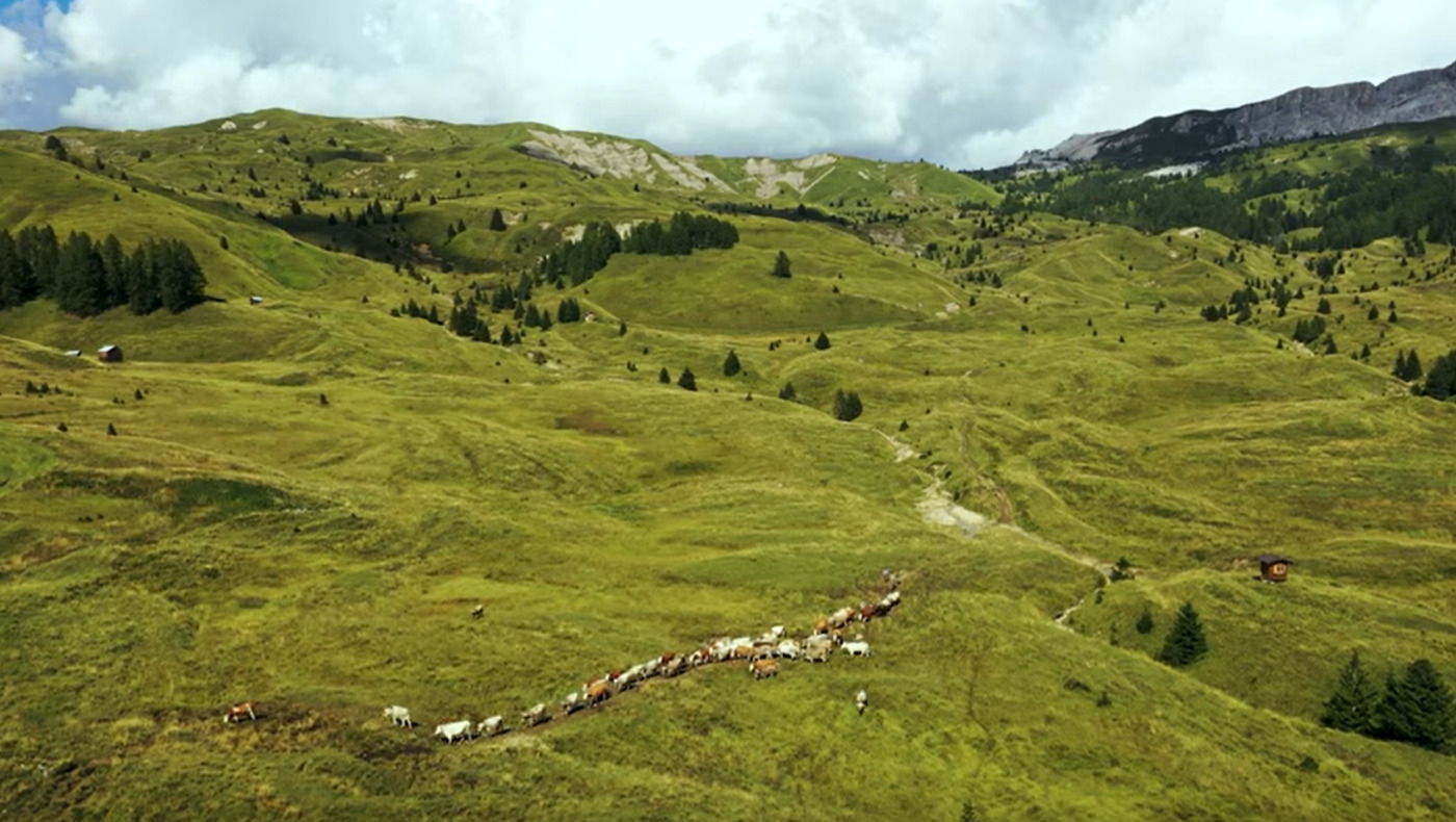 Il formaggio "Fodom" diventa presidio Slow Food