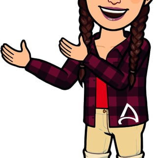 Reba, dein digitaler Reisebegleiter