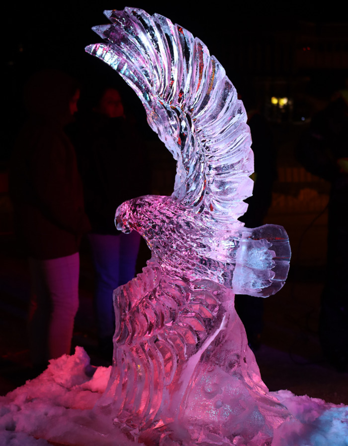 Ice Sculpture Show