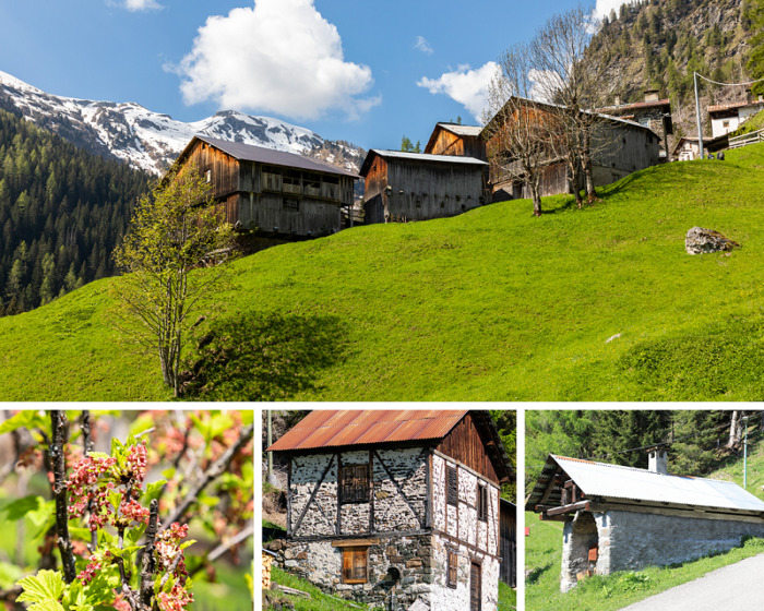 Discovering the villages of the Fodom valley: Davedino, Visinè di Là and Ornella