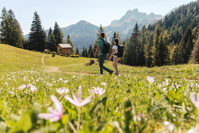 Passeggiata erboristica - Alla scoperta delle piante officinali