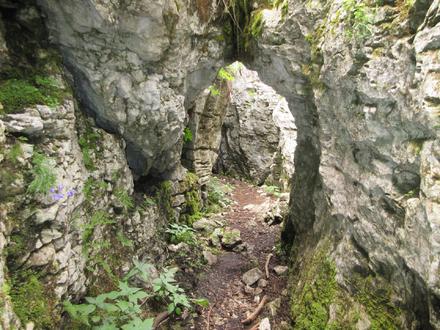 Monte Fiara - Cai Trekking Labirinto Brustolà