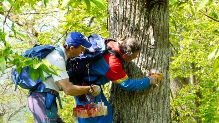 Cai Trekking - Manutenzione e Cura dei Sentieri